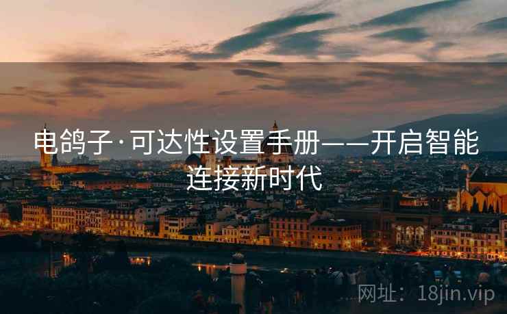 电鸽子·可达性设置手册——开启智能连接新时代