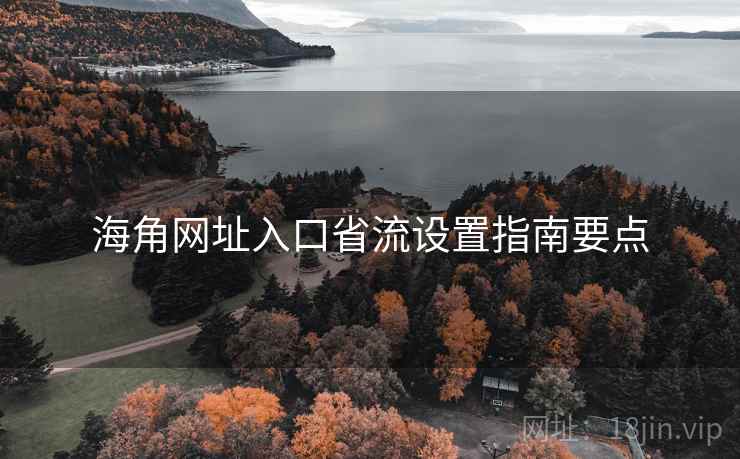 海角网址入口省流设置指南要点