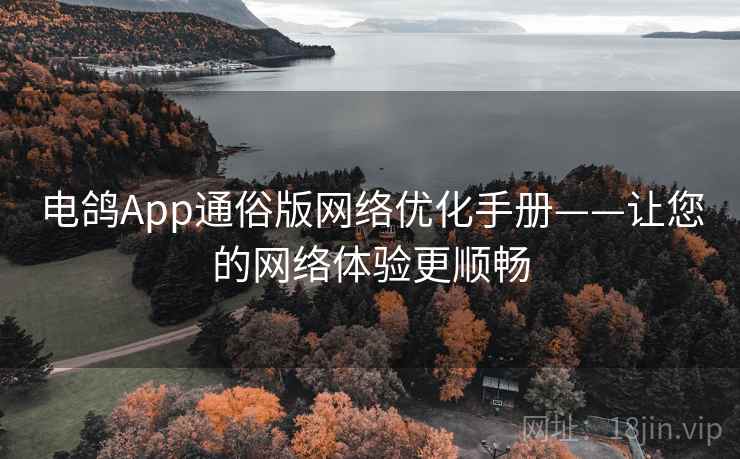 电鸽App通俗版网络优化手册——让您的网络体验更顺畅