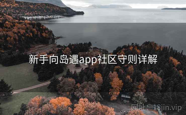 新手向岛遇app社区守则详解
