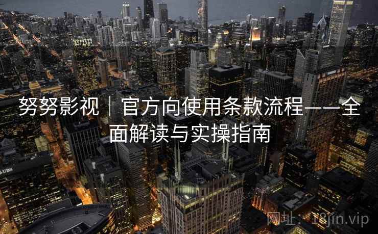 努努影视｜官方向使用条款流程——全面解读与实操指南