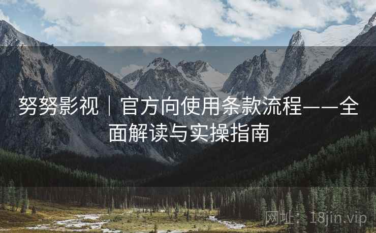 努努影视｜官方向使用条款流程——全面解读与实操指南