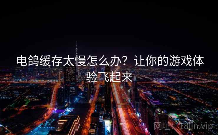 电鸽缓存太慢怎么办？让你的游戏体验飞起来